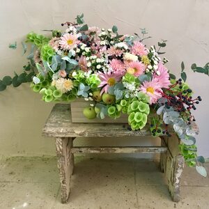 Flower boxy